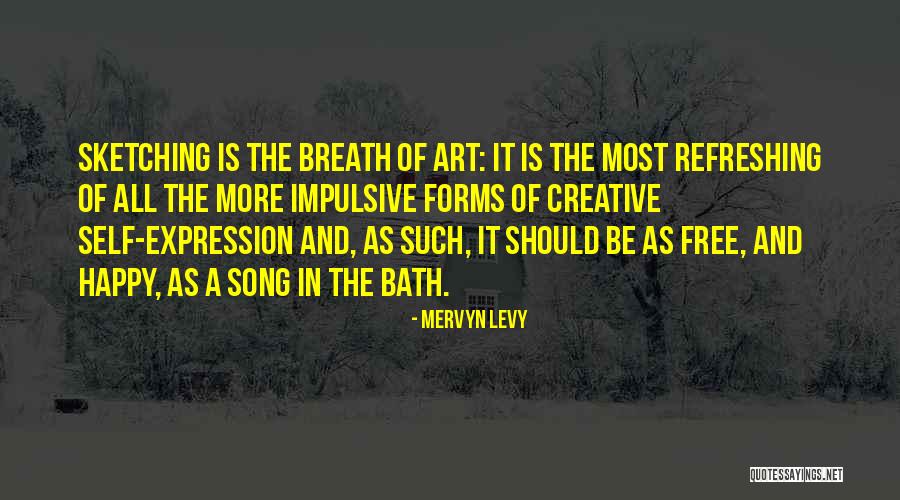 Art And Self Expression Quotes By Mervyn Levy