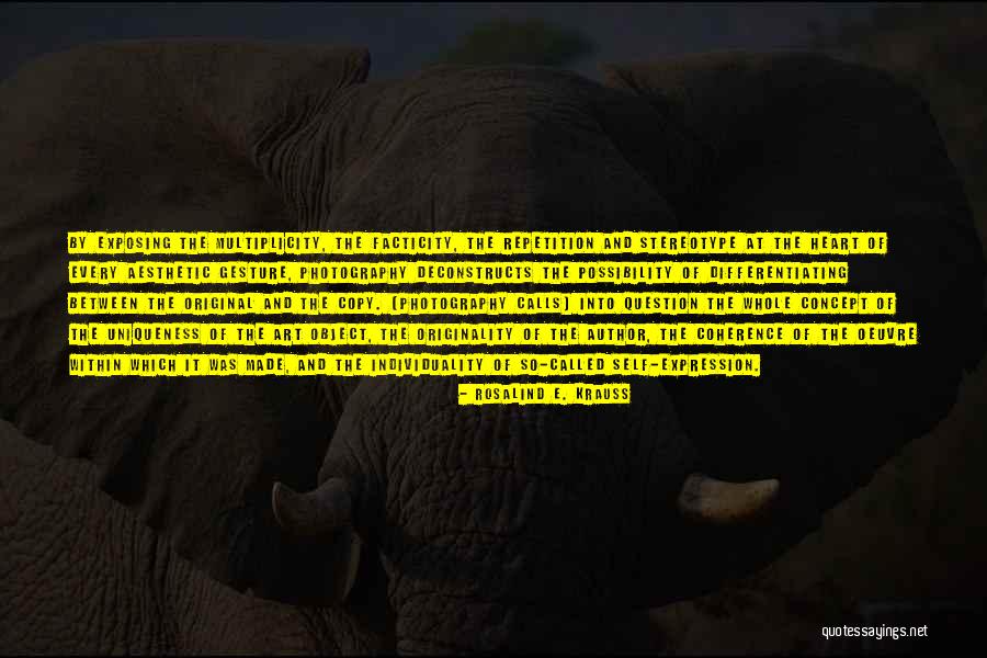 Art And Self Expression Quotes By Rosalind E. Krauss Art And Self Expression Quotes By Rosalind E. Krauss