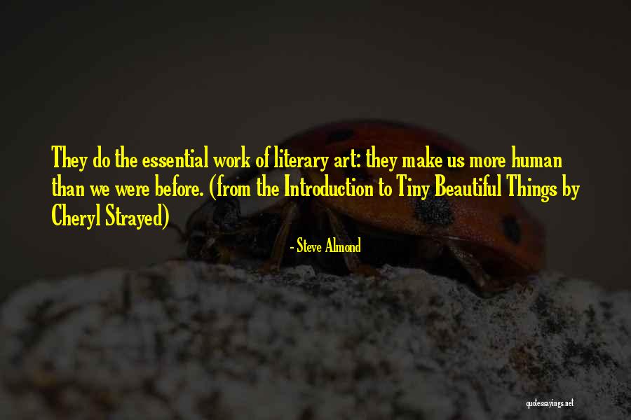 Art Beautiful Quotes By Steve Almond Art Beautiful Quotes By Steve Almond