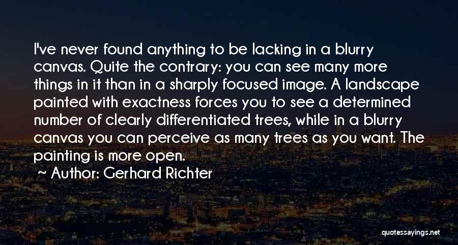 Art Can Be Anything Quotes By Gerhard Richter