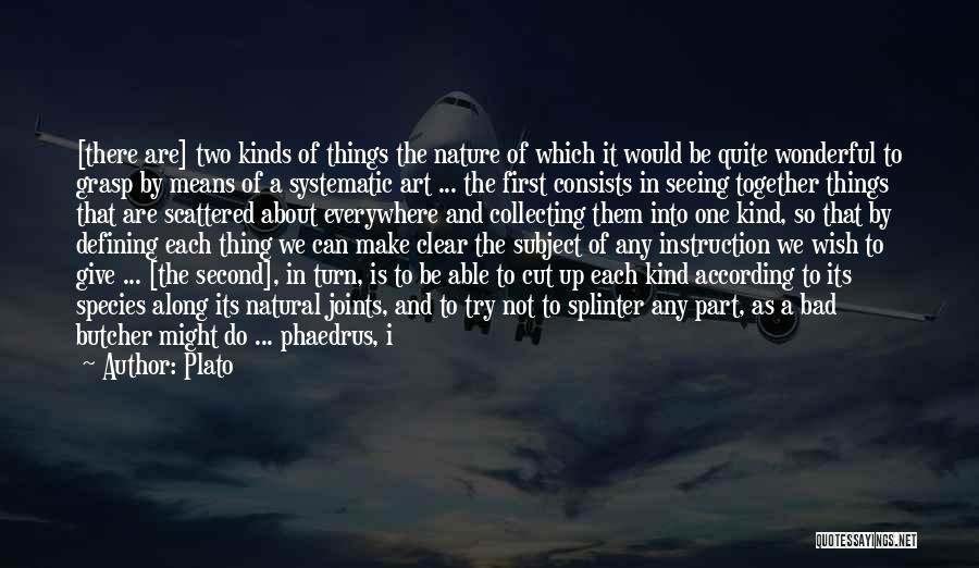 Art Collections Quotes By Plato