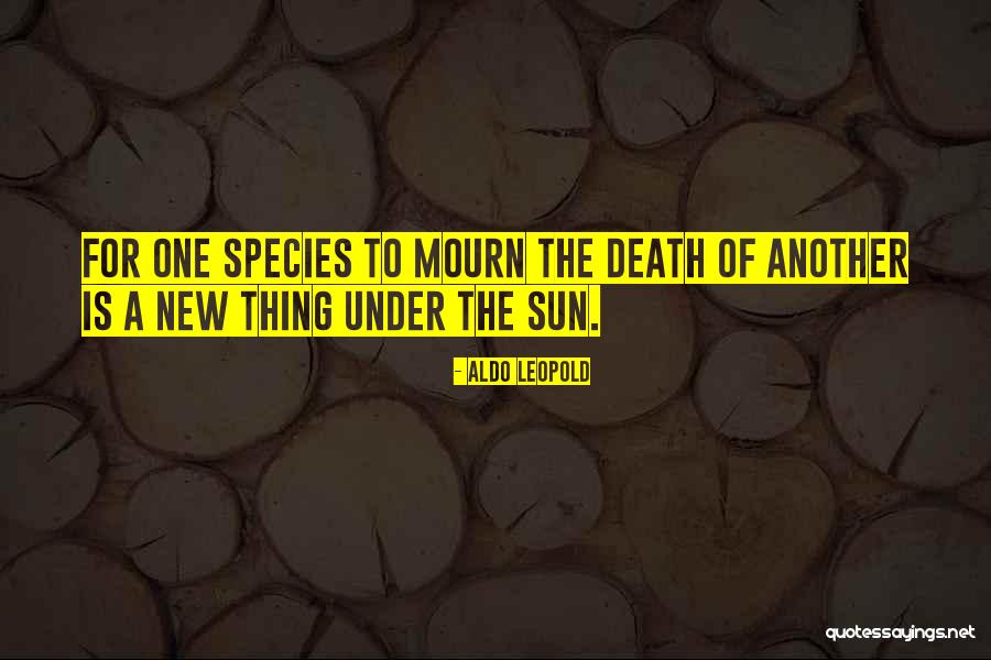 Art Culo Definido Quotes By Aldo Leopold Art Culo Definido Quotes By Aldo Leopold