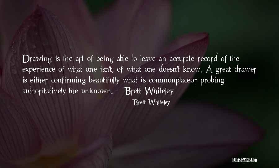Art Drawing Quotes By Brett Whiteley Art Drawing Quotes By Brett Whiteley