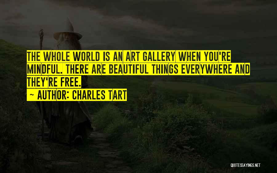 Art Everywhere Quotes By Charles Tart