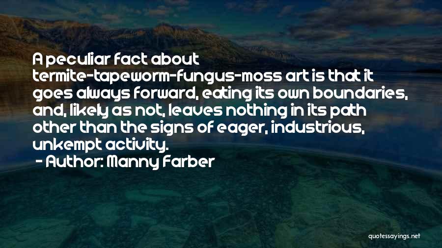 Art Has No Boundaries Quotes By Manny Farber