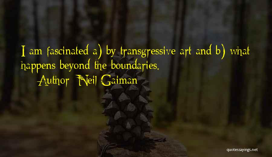 Art Has No Boundaries Quotes By Neil Gaiman
