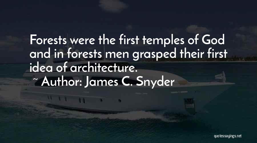 Art In Architecture Quotes By James C. Snyder