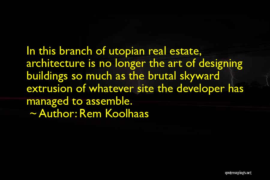 Art In Architecture Quotes By Rem Koolhaas