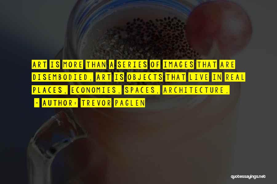 Art In Architecture Quotes By Trevor Paglen