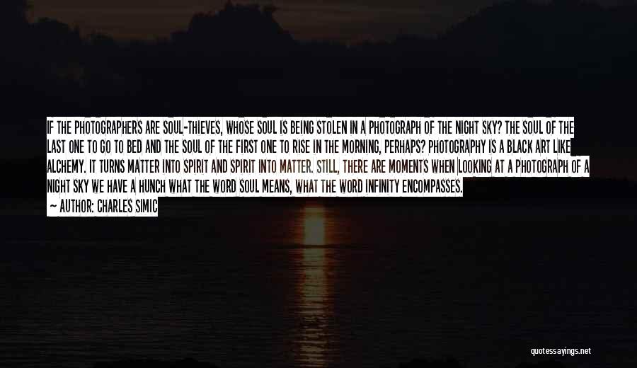 Art In Photography Quotes By Charles Simic
