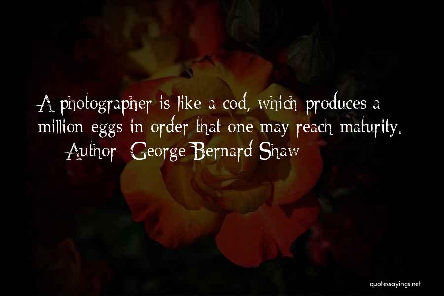 Art In Photography Quotes By George Bernard Shaw