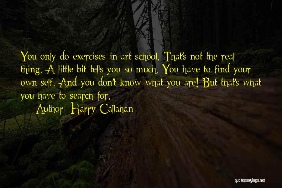 Art In Photography Quotes By Harry Callahan