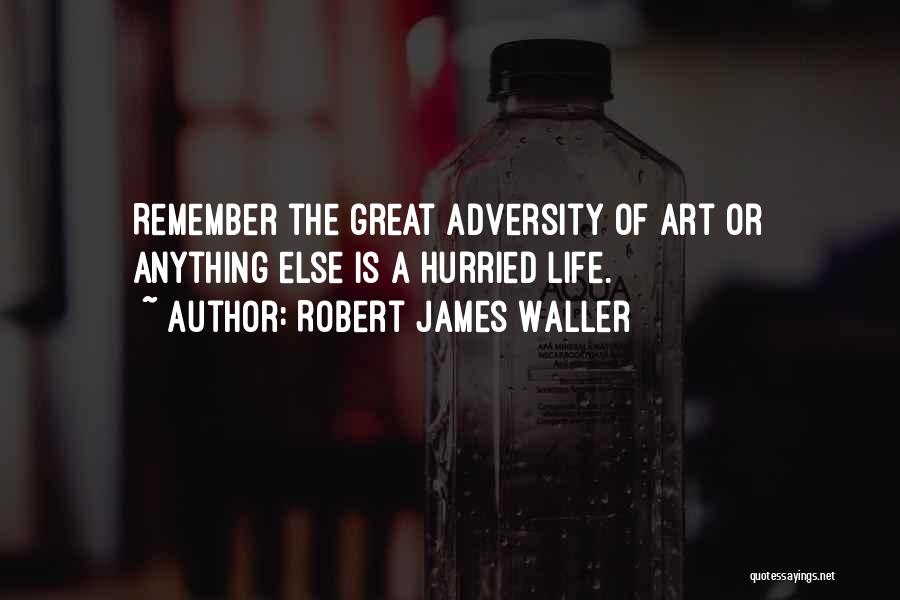Art Is Anything Quotes By Robert James Waller