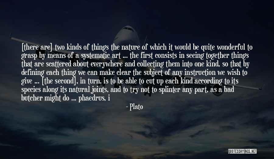 Art Is Everywhere Quotes By Plato