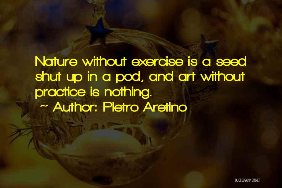 Art Is Nature Quotes By Pietro Aretino