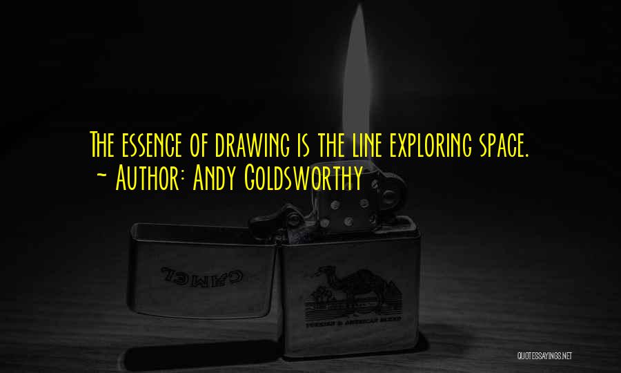 Art Line Quotes By Andy Goldsworthy