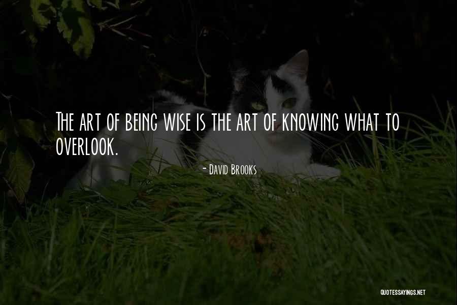 Art Of Being Wise Quotes By David Brooks Art Of Being Wise Quotes By David Brooks