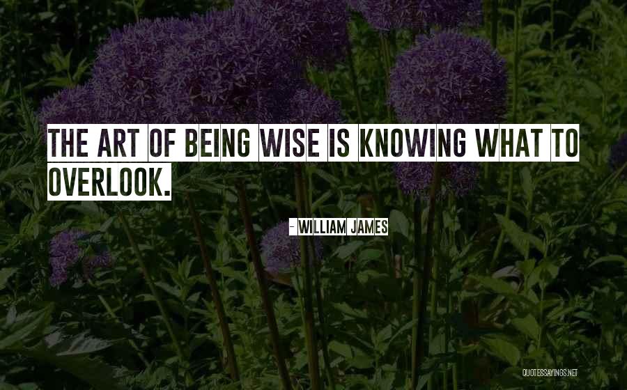 Art Of Being Wise Quotes By William James Art Of Being Wise Quotes By William James