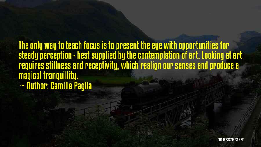 Art Of Stillness Quotes By Camille Paglia