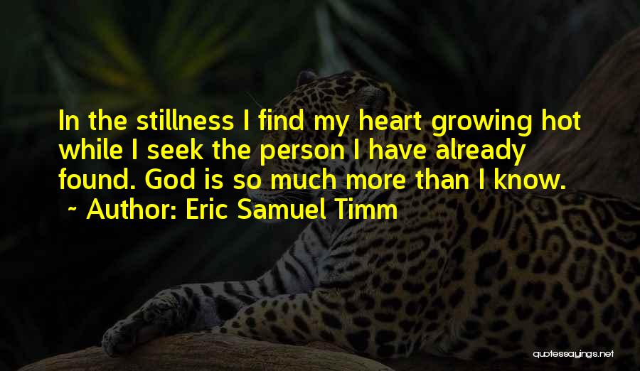 Art Of Stillness Quotes By Eric Samuel Timm