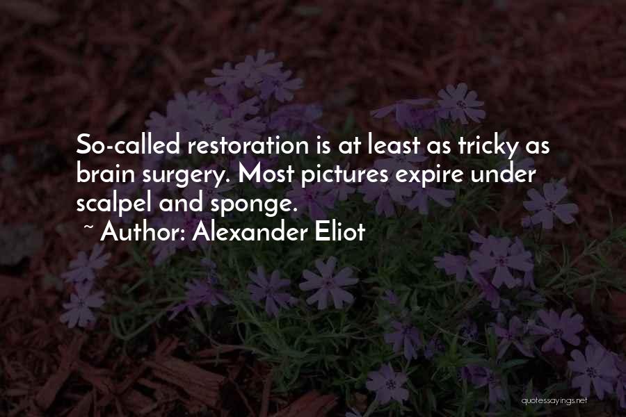 Art Restoration Quotes By Alexander Eliot