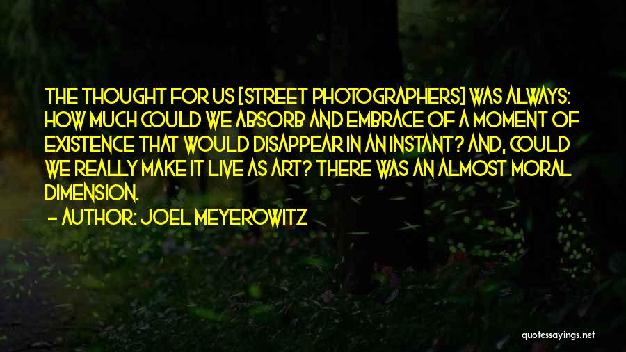 Art Street Quotes By Joel Meyerowitz