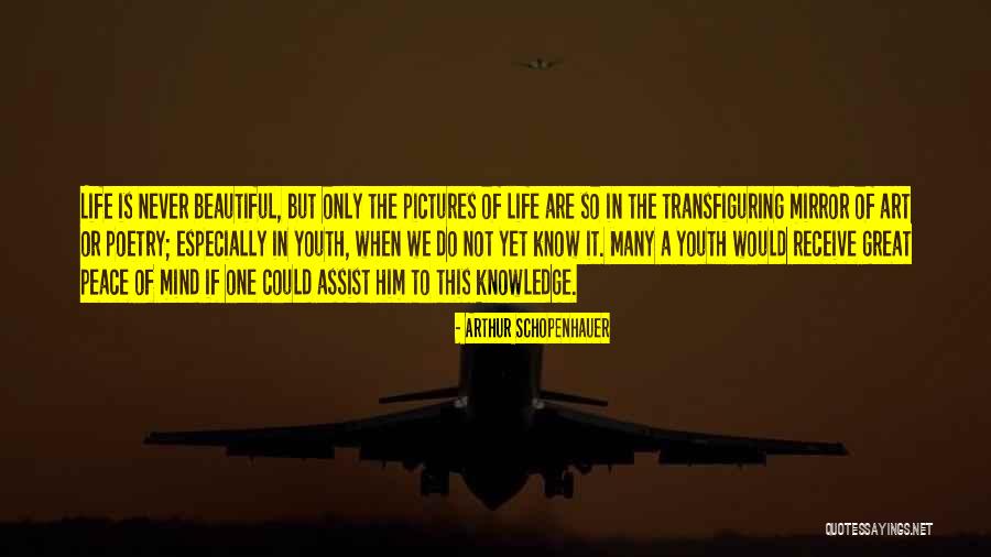 Art Subject Quotes By Arthur Schopenhauer Art Subject Quotes By Arthur Schopenhauer
