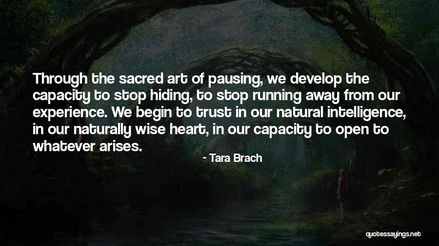 Art Wise Quotes By Tara Brach Art Wise Quotes By Tara Brach