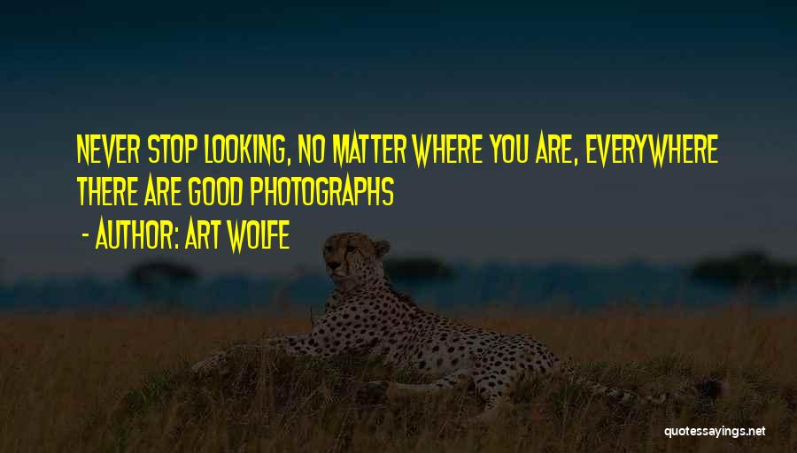 Art Wolfe Quotes 1430838