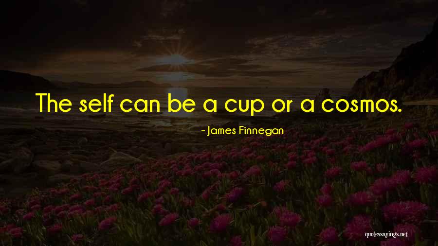 Artega Whiteside Quotes By James Finnegan Artega Whiteside Quotes By James Finnegan