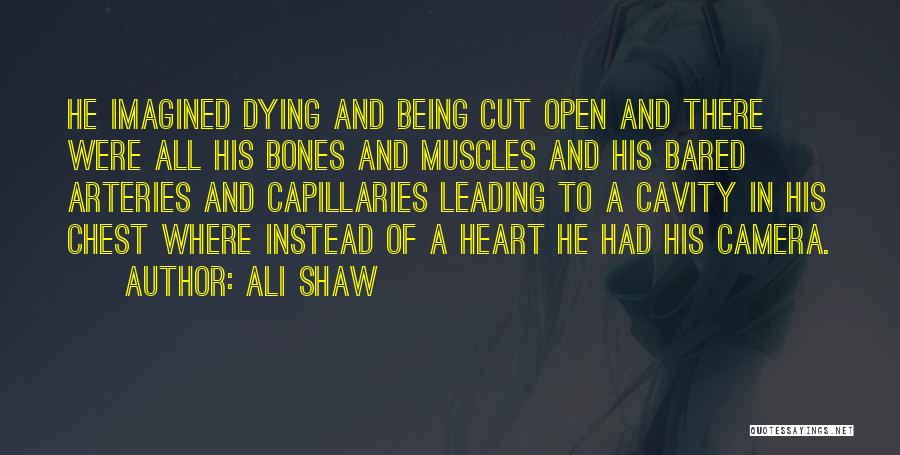 Arteries Quotes By Ali Shaw