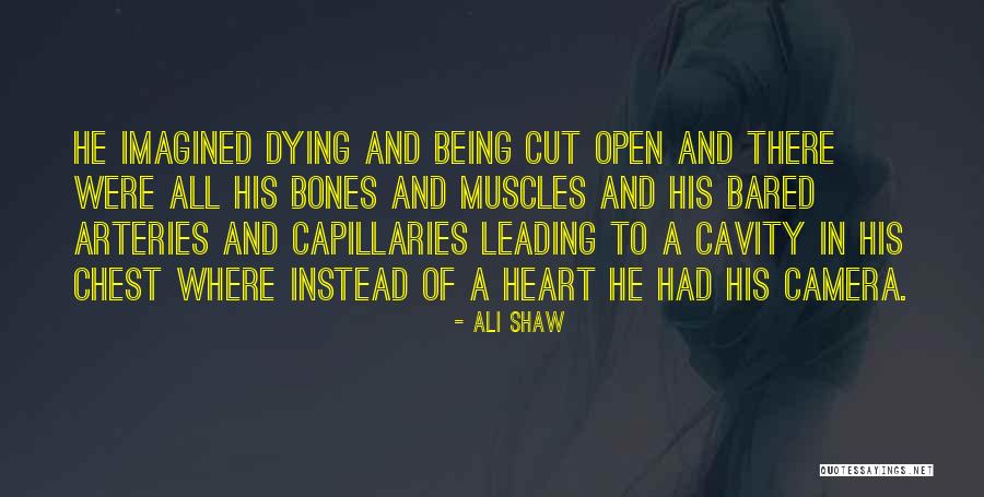 Arteries Quotes By Ali Shaw