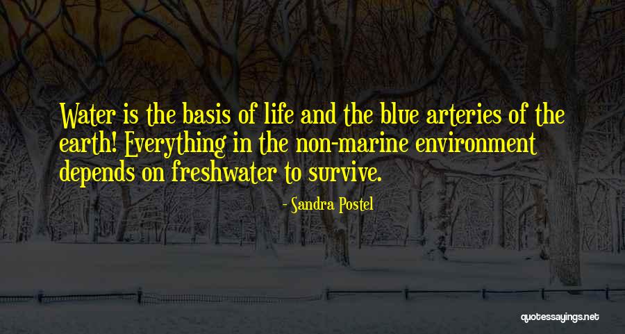 Arteries Quotes By Sandra Postel