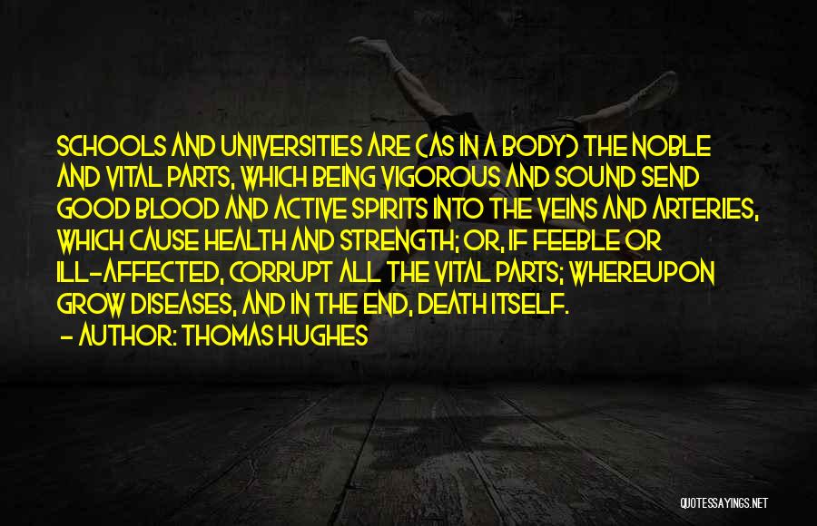 Arteries Quotes By Thomas Hughes