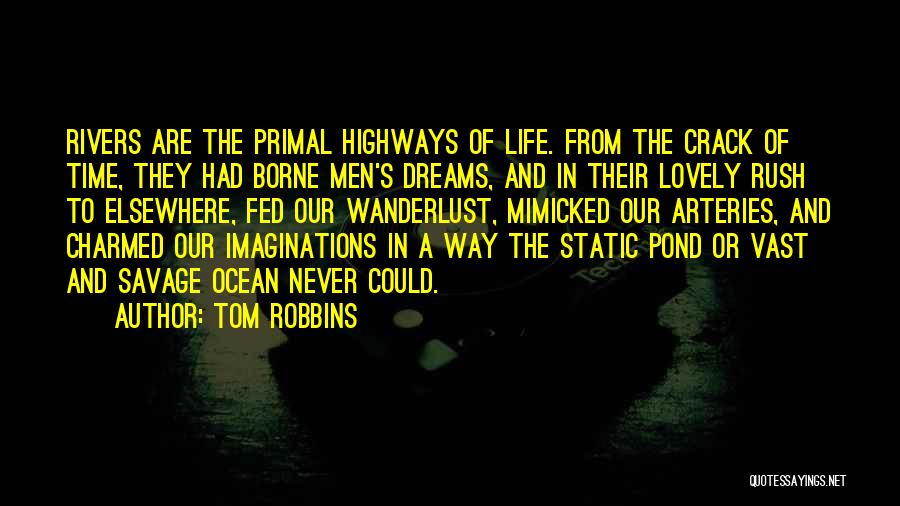 Arteries Quotes By Tom Robbins