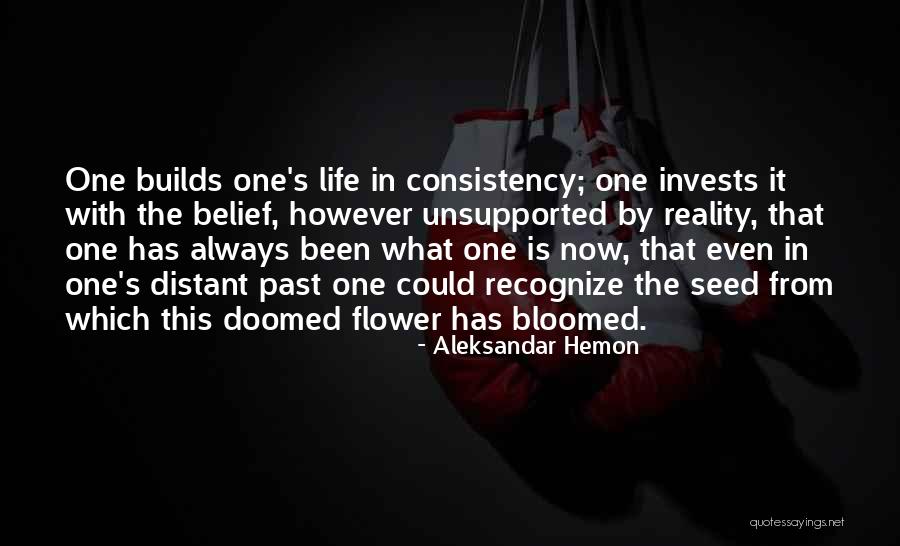 Artforms Examples Quotes By Aleksandar Hemon Artforms Examples Quotes By Aleksandar Hemon