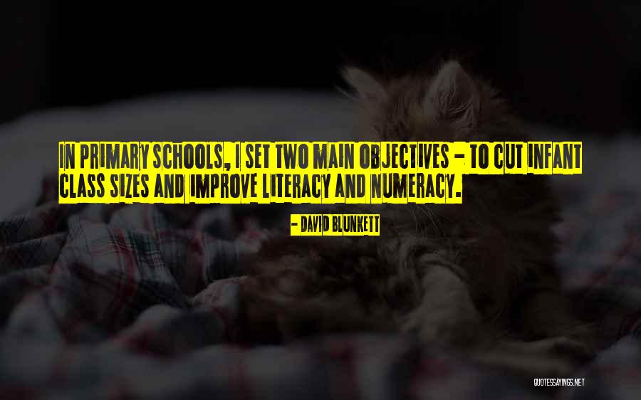 Artfully Insane Quotes By David Blunkett Artfully Insane Quotes By David Blunkett