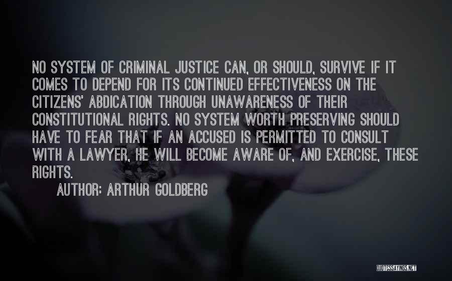 Arthur Goldberg Quotes 1024754
