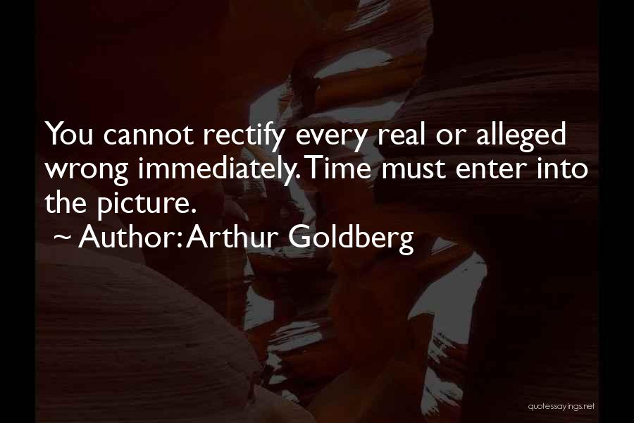Arthur Goldberg Quotes 269724