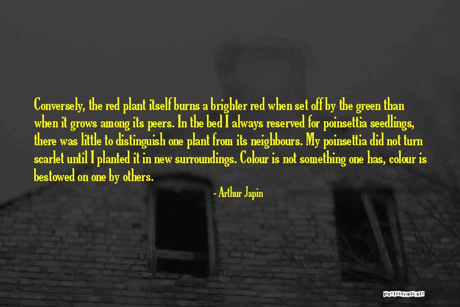 Arthur Japin Quotes 1802091 Arthur Japin Quotes 1802091
