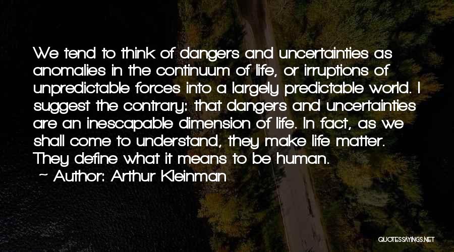 Arthur Kleinman Quotes 1175057