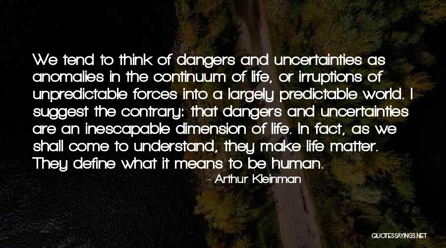 Arthur Kleinman Quotes 1175057