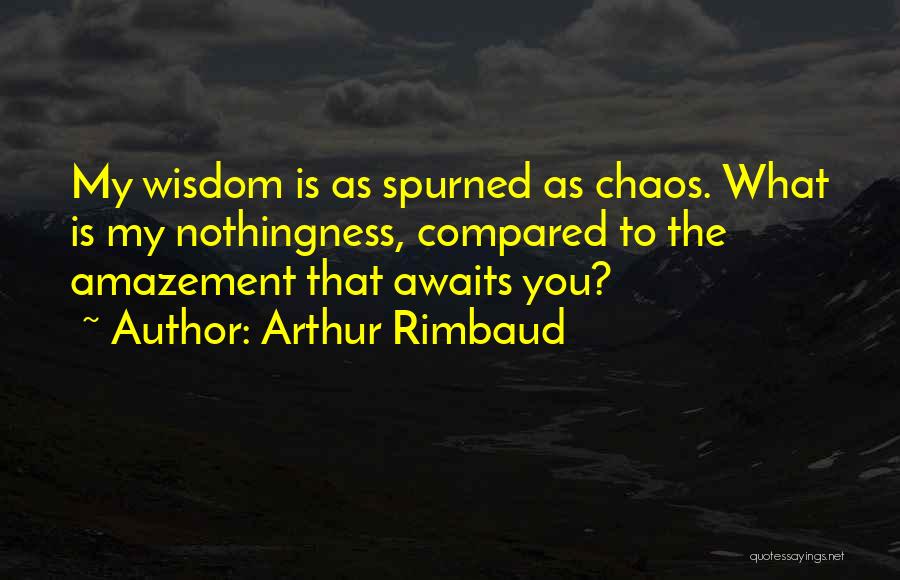 Arthur Rimbaud Quotes 1042007