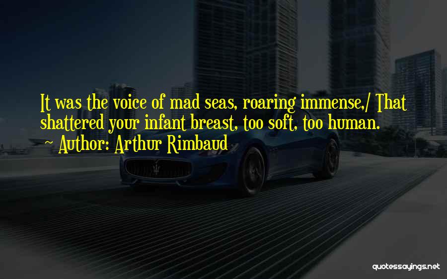 Arthur Rimbaud Quotes 2044239