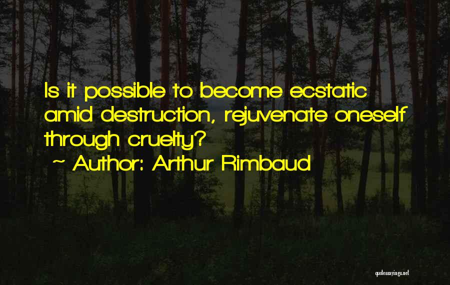 Arthur Rimbaud Quotes 2065409