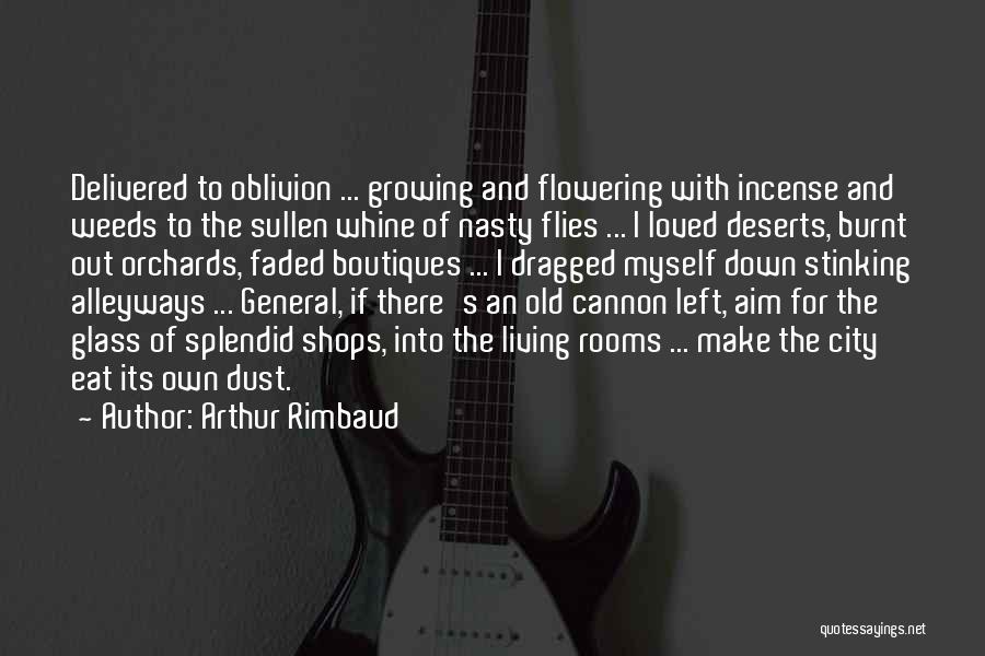 Arthur Rimbaud Quotes 2130496