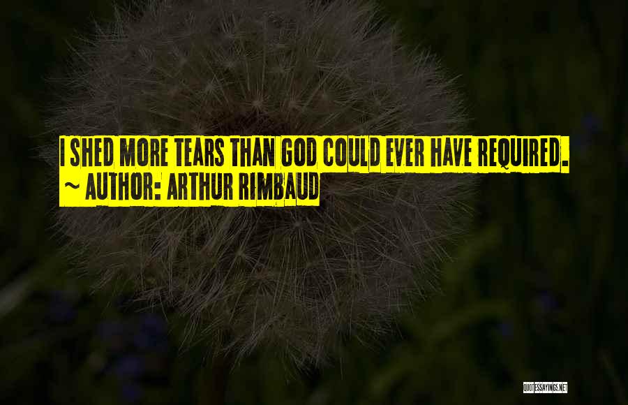 Arthur Rimbaud Quotes 217651