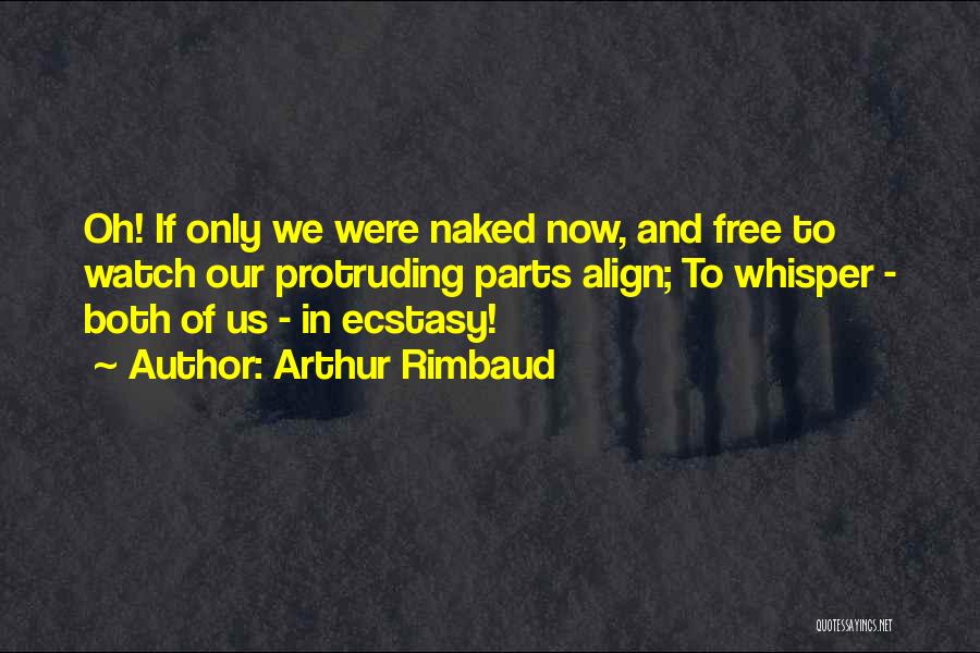 Arthur Rimbaud Quotes 2260969