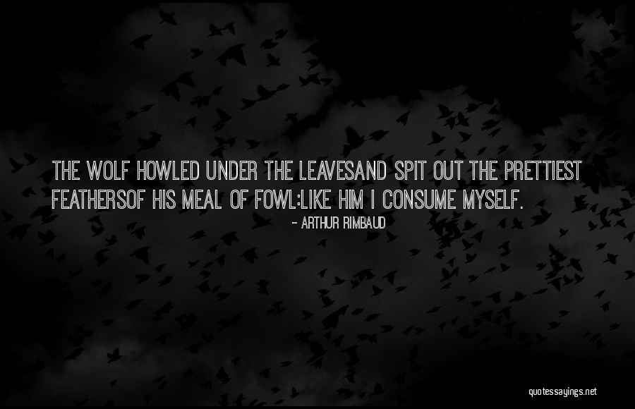 Arthur Rimbaud Quotes 2271250 Arthur Rimbaud Quotes 2271250