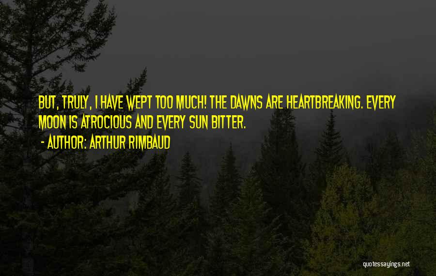 Arthur Rimbaud Quotes 371947